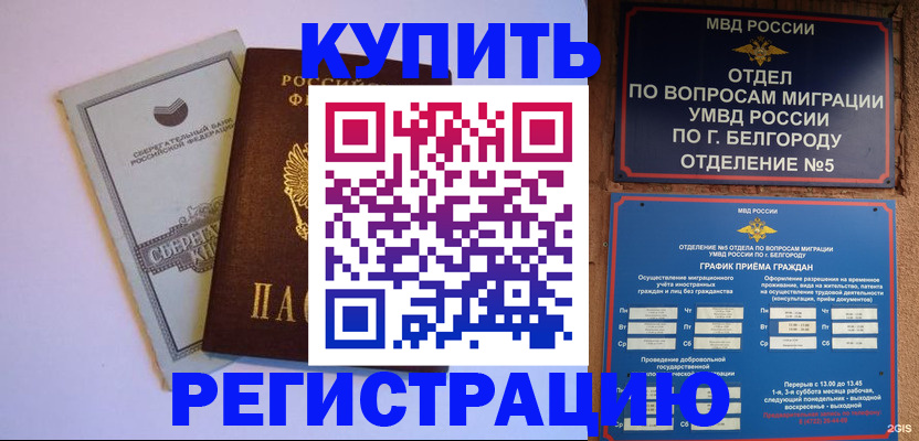 прописка гарантия в Ковдоре